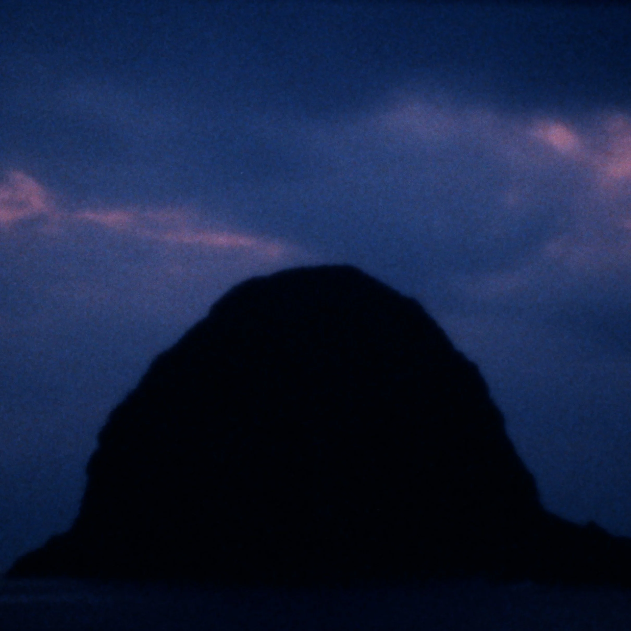 Mary Lattimore Rework of “Rosa Canina”