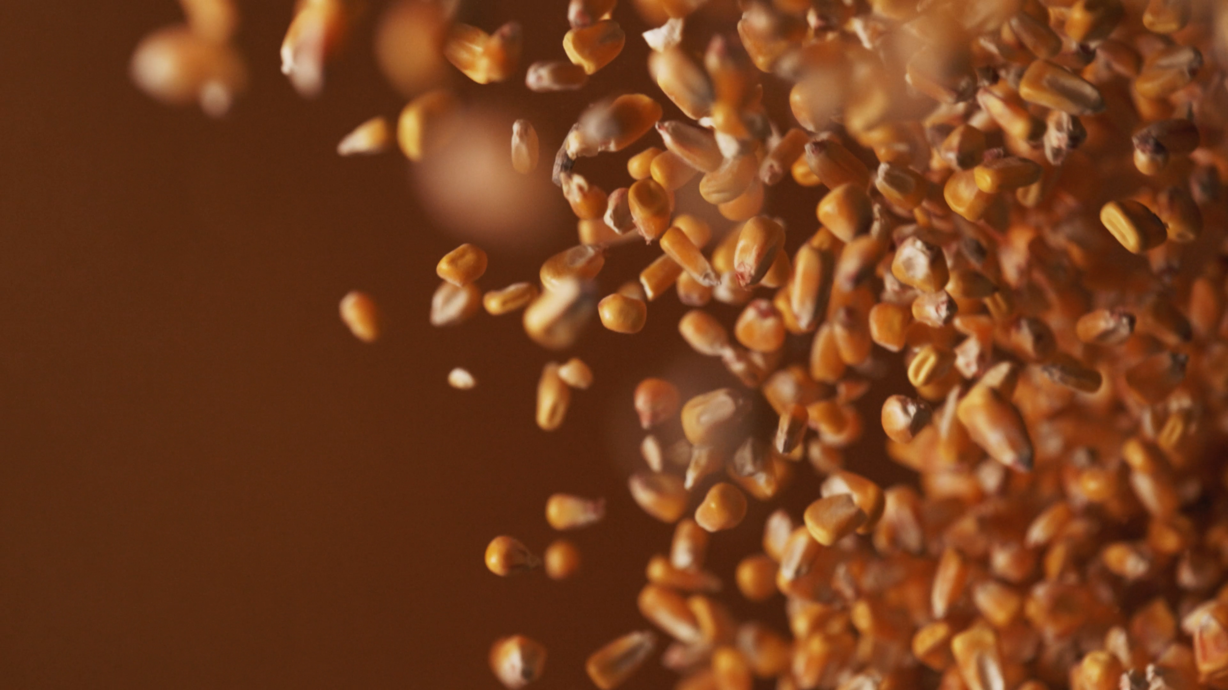 Screenshot 2024-10-10 103105.png