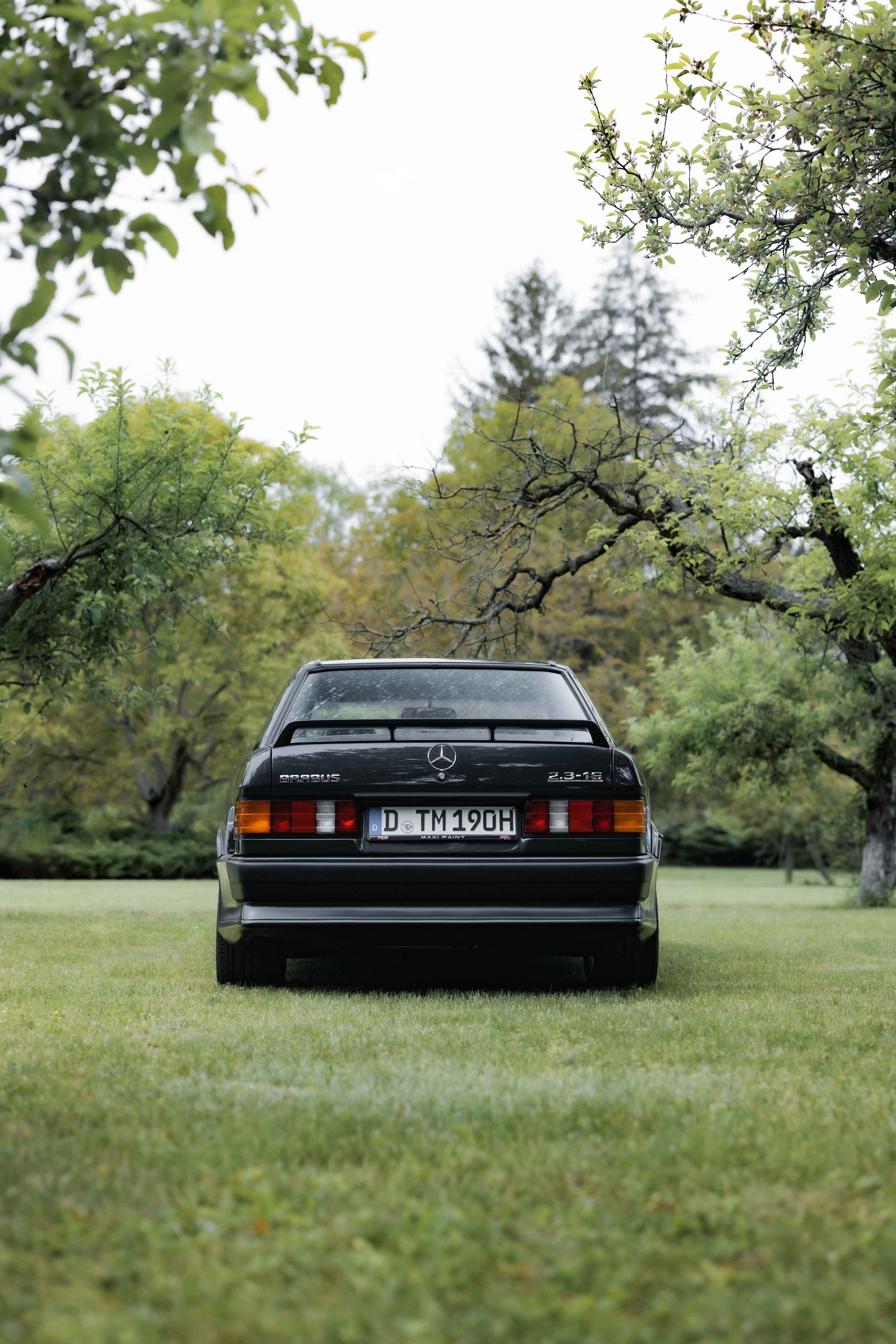 5T0A6816-Edit.jpg