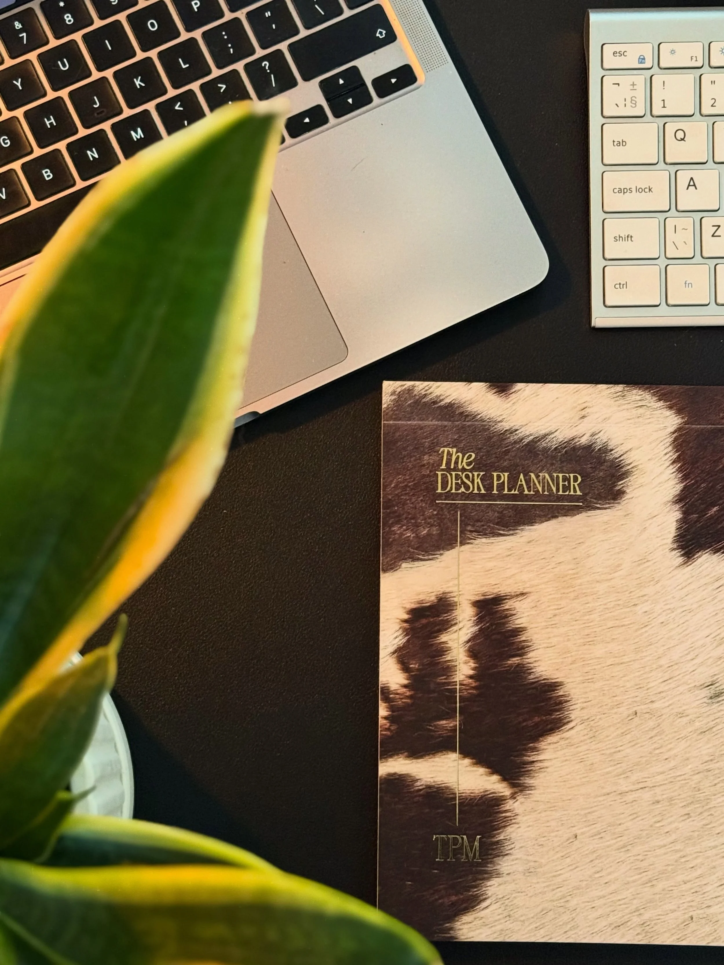 Studio days + project planning 💫

#beakstudio #interiordesign #interiordesigner #interior #projectplanning