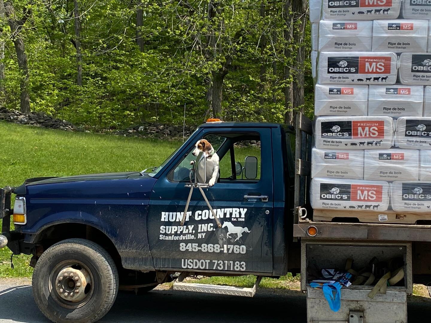 Thank you to Hunt Country Supply Inc for always meeting our shaving supply needs. We go through quite the number of shavings on a weekly basis. Plus, we love snuggling with their mascot.