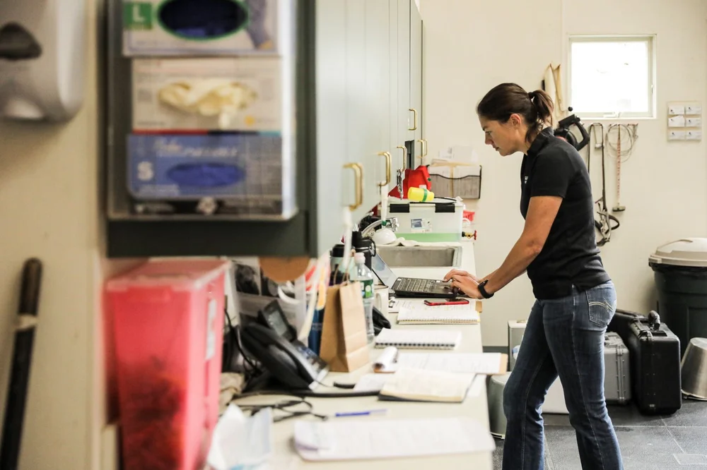 Veterinary Technician Internships — Rhinebeck Equine