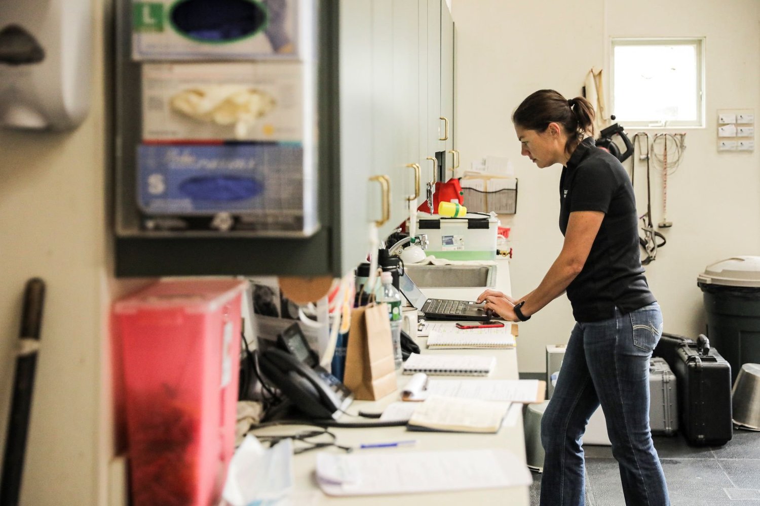 Veterinary Technician Internships — Rhinebeck Equine