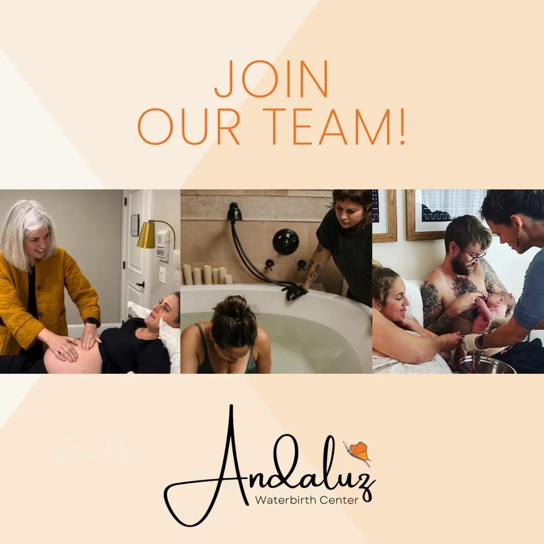 We are looking for a full time staff midwife to add to our team!  Both CNMs and CPMs are welcome to apply.
​​​​​​​​
Our ideal candidate is aligned with out-of-hospital care practices, empathetic, compassionate, and creative.​​​​​​​​
​​​​​​​​
To view 