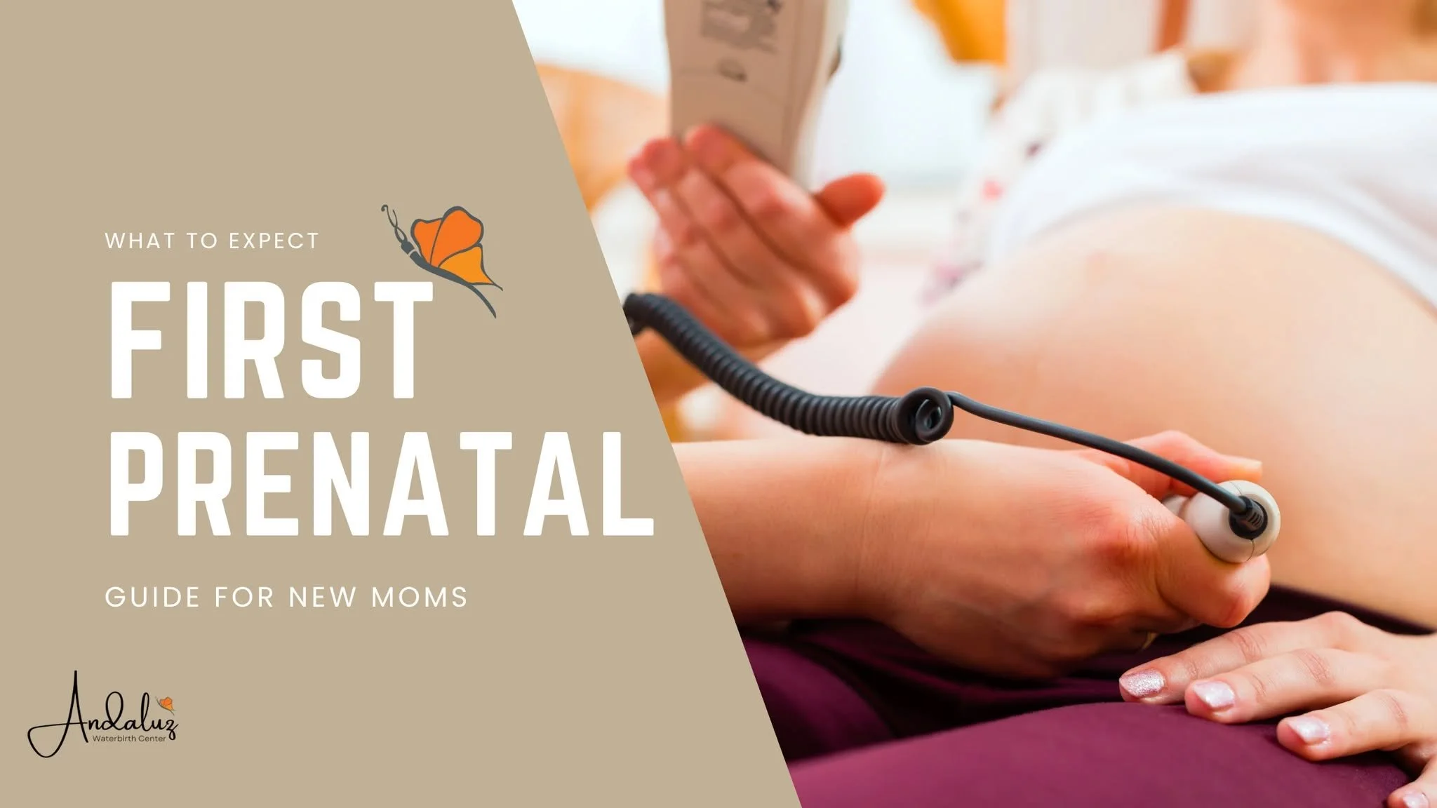 Your first prenatal visit is an important milestone! Our new blog post will walk you step by step through what to expect for your first appointment with your midwife. 

Find the post at waterbirth.net/blog or click the link in our bio!

#midwife #pdx