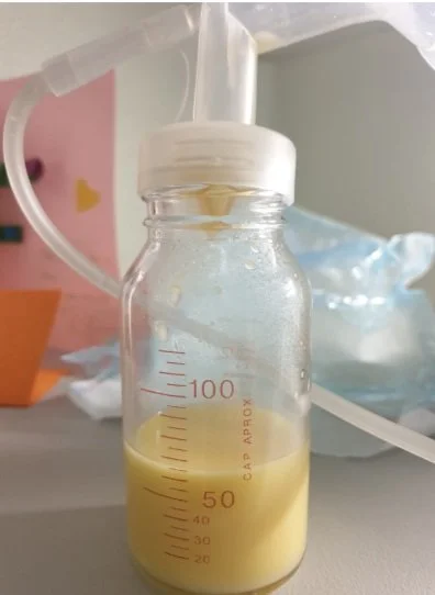 How to Harvest Colostrum