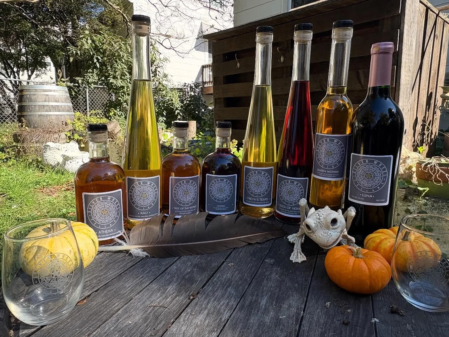 Want to explore the world of Silver Wheel Cellars meads?  Our Halloween special is going through Sunday 11/2 (el día de los muertos). Mix and match any 4 meads for $95 and receive a free 9 ounce SWC stemless wine glass. Message us if intereste