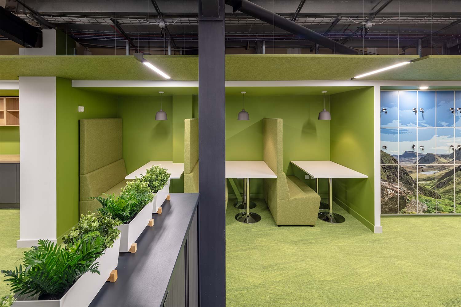 Biophilia in the office