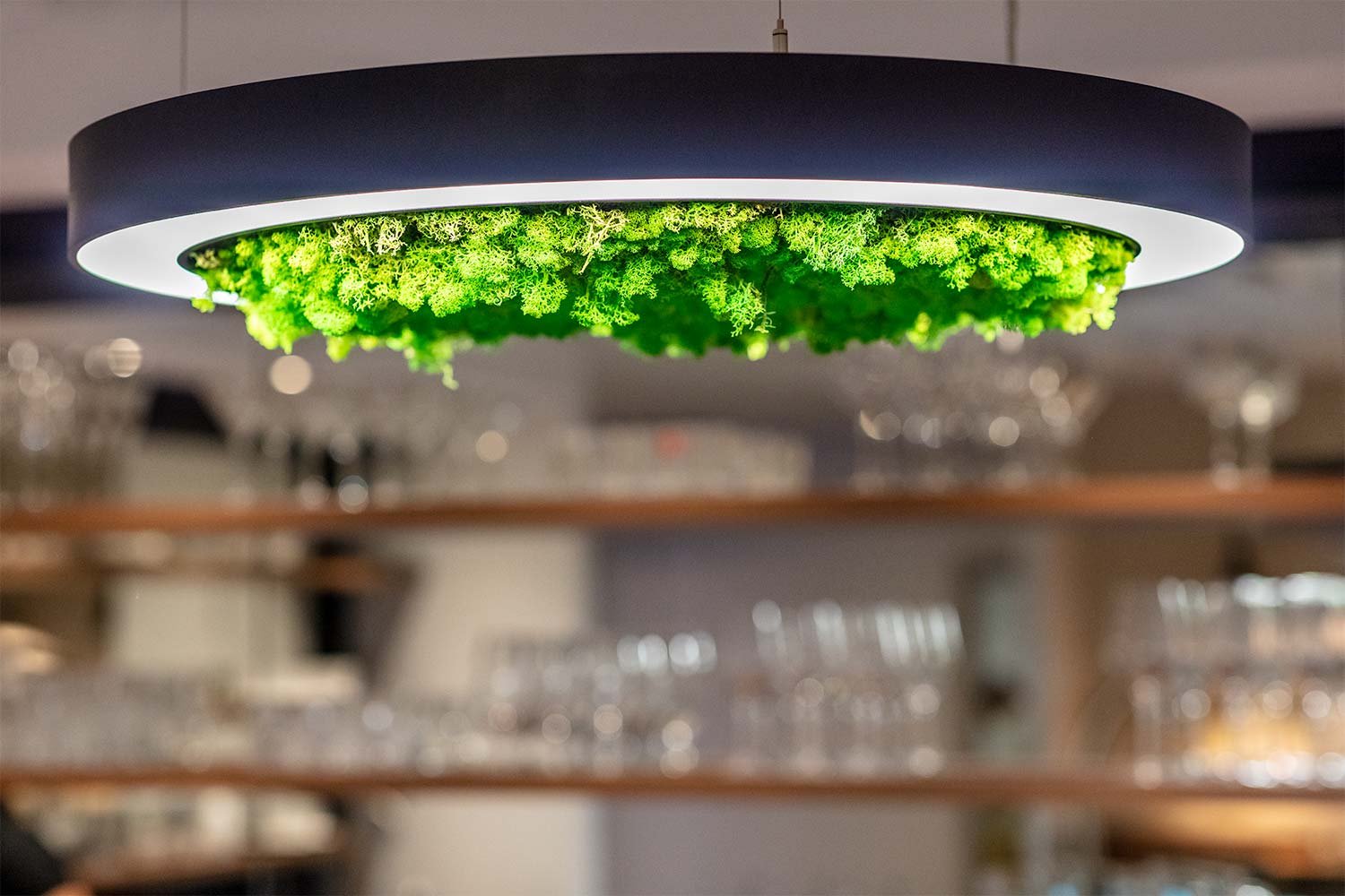 Circular led lighting with moss feature