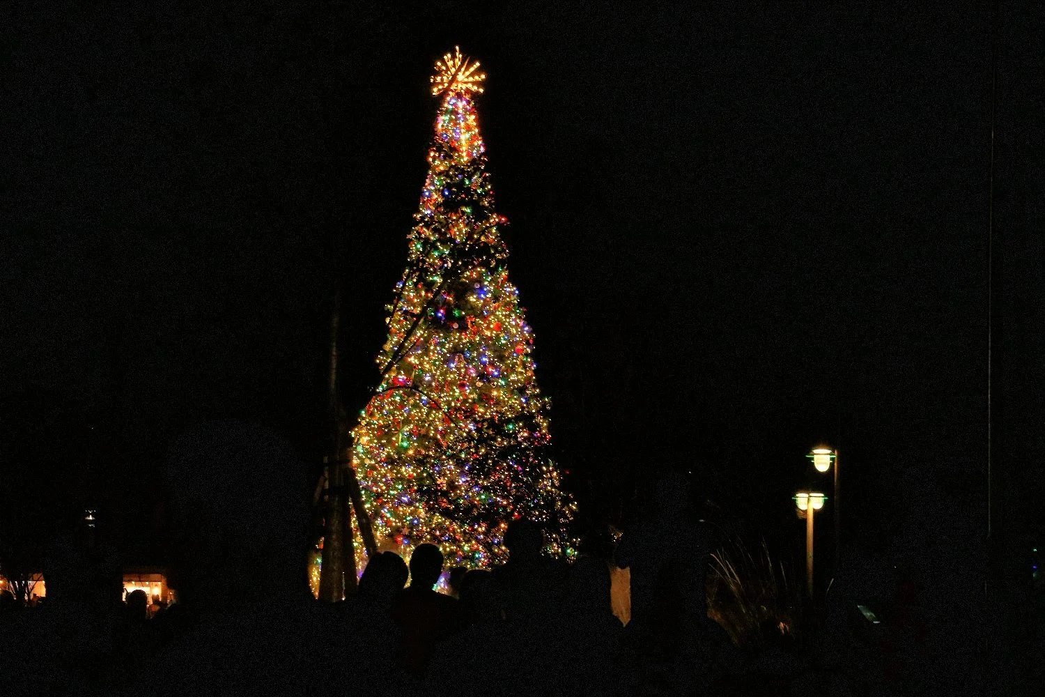 Annual Tree Lighting and Community Celebration