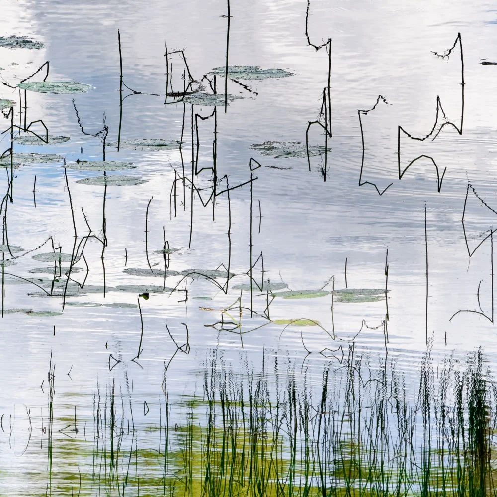 CA04 White Lake Script