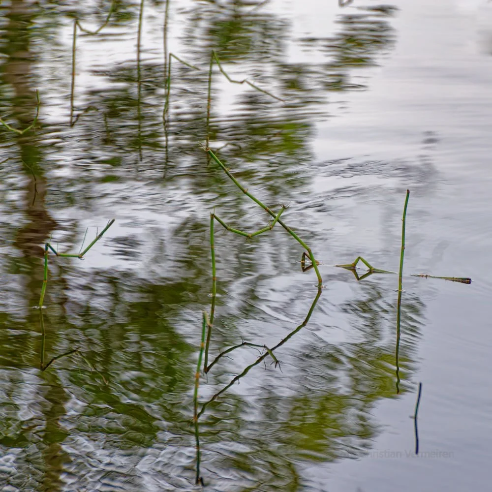 CA06 Turbulent Characters