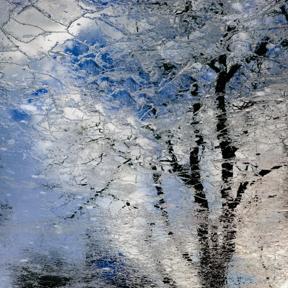 DF05 Echoes Under The Ice