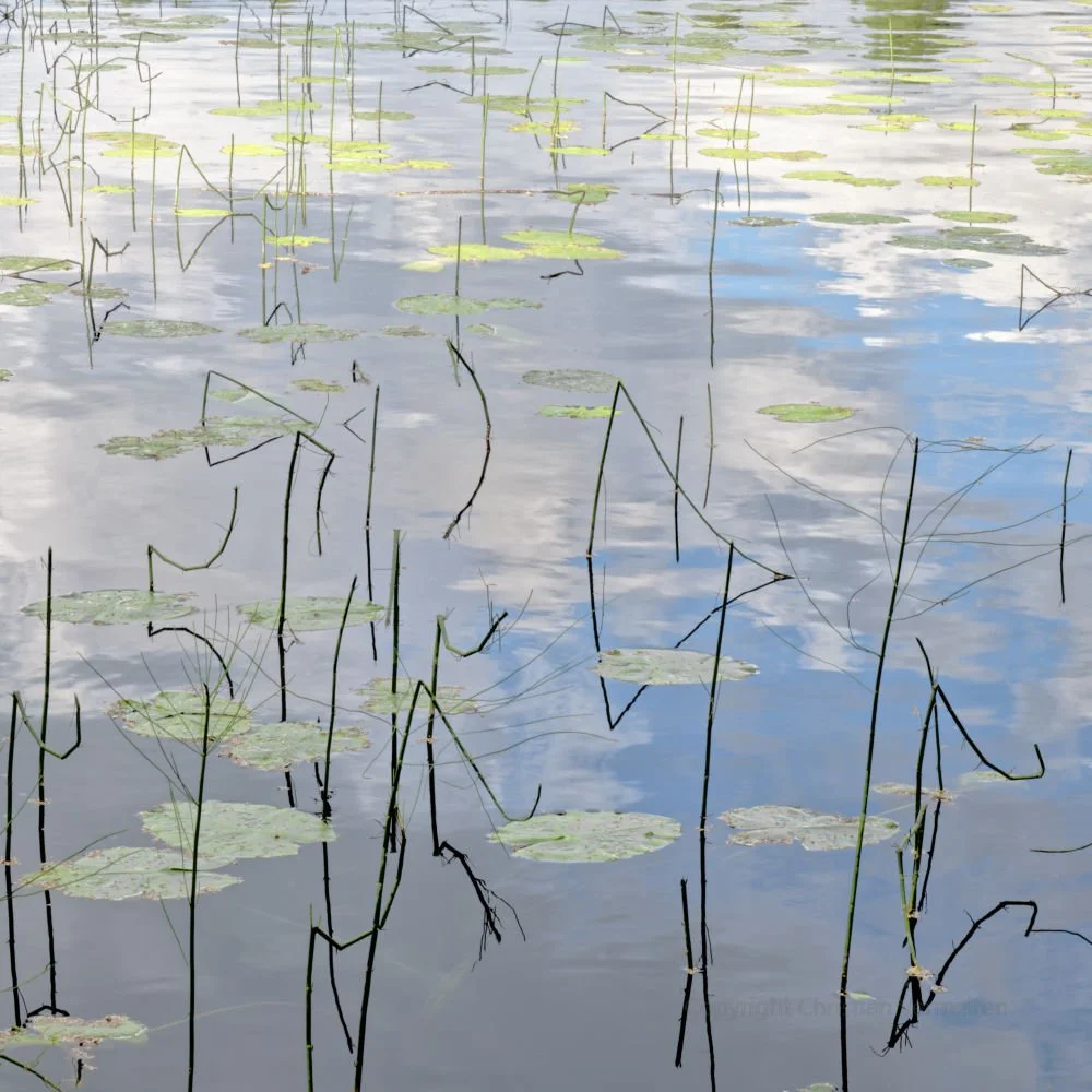 CA05 Floating Characters