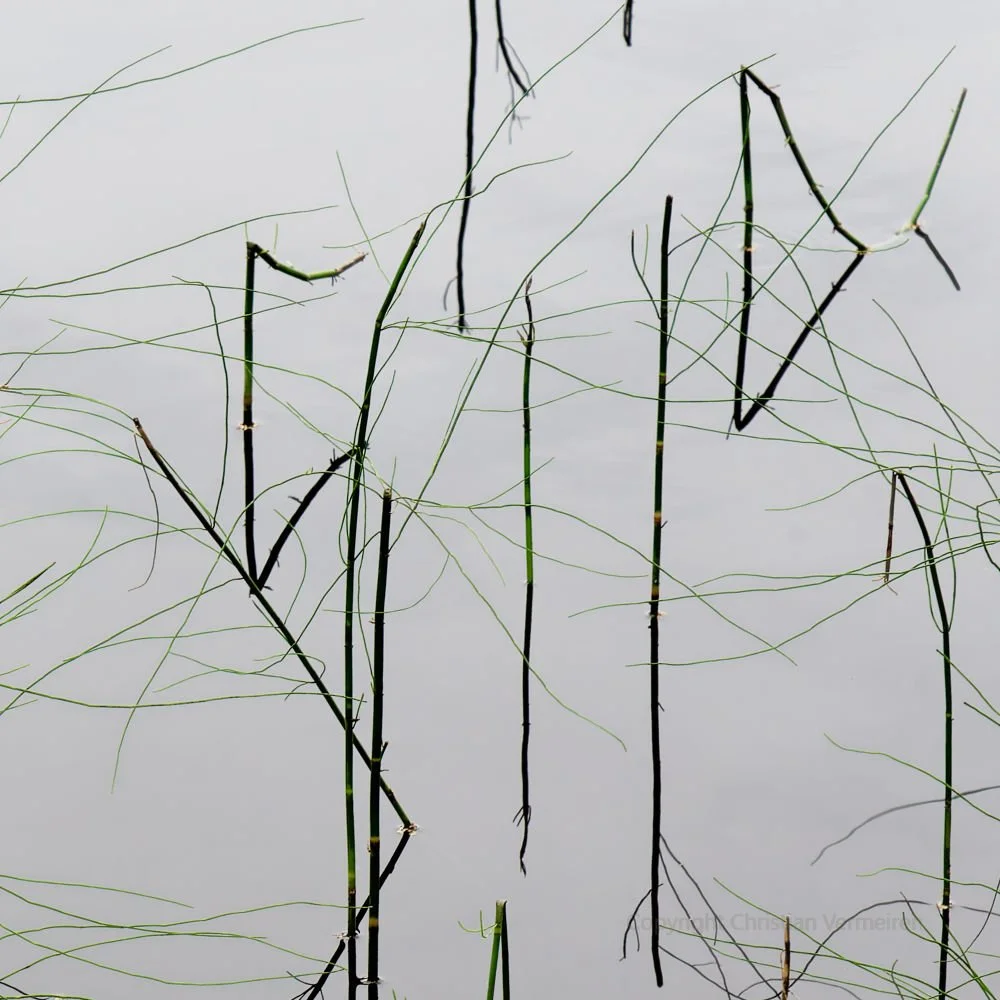 CA11 Silent Calligraphy