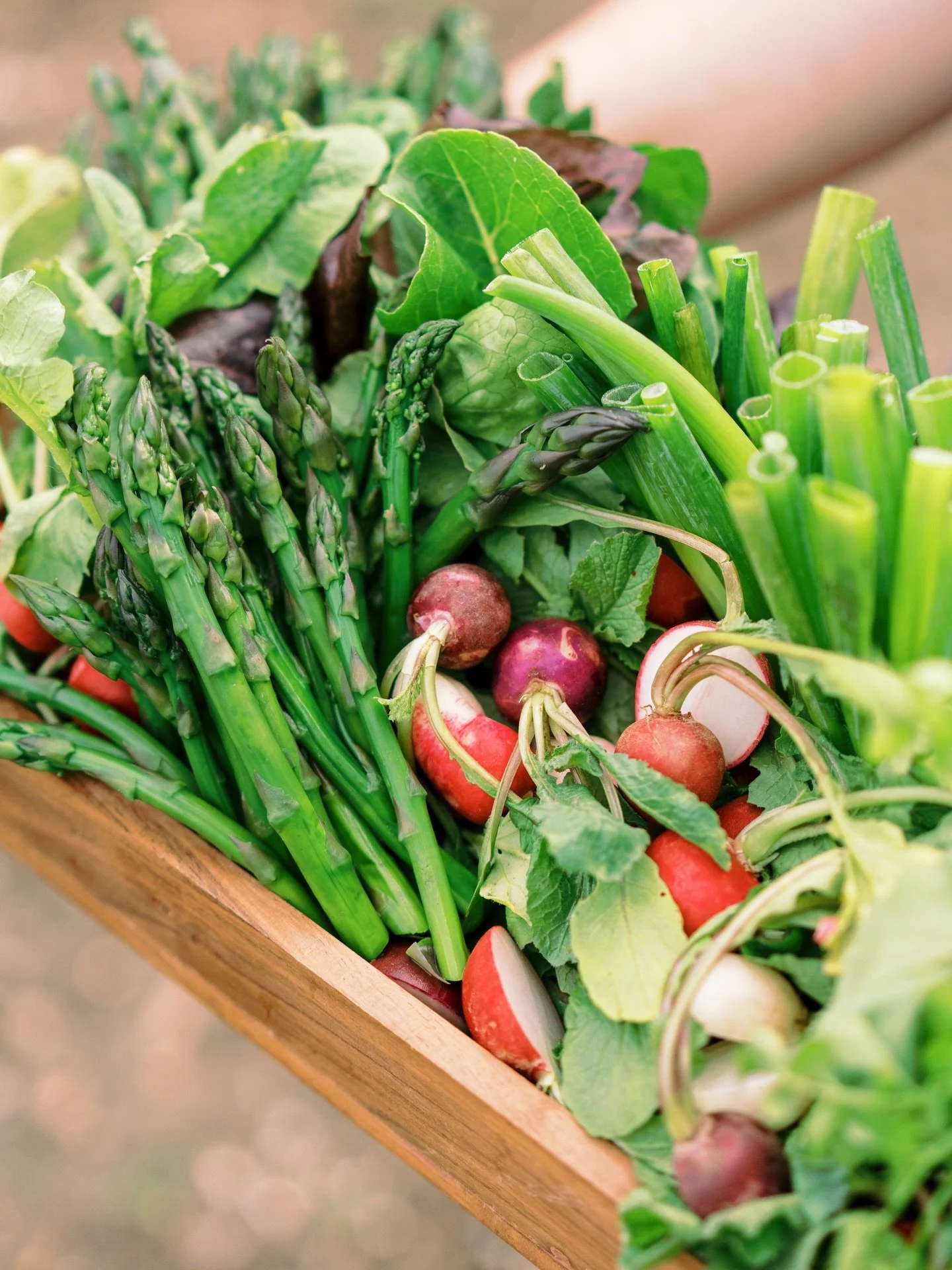 Most ingredients we prepare are picked up within 48 hours of harvest - not weeks. 

That&rsquo;s not convenience. 
That&rsquo;s integrity.
That&rsquo;s flavor. 

Freshness you can taste comes from people you know and trust. 

📸 @alyssamanciniphoto 
