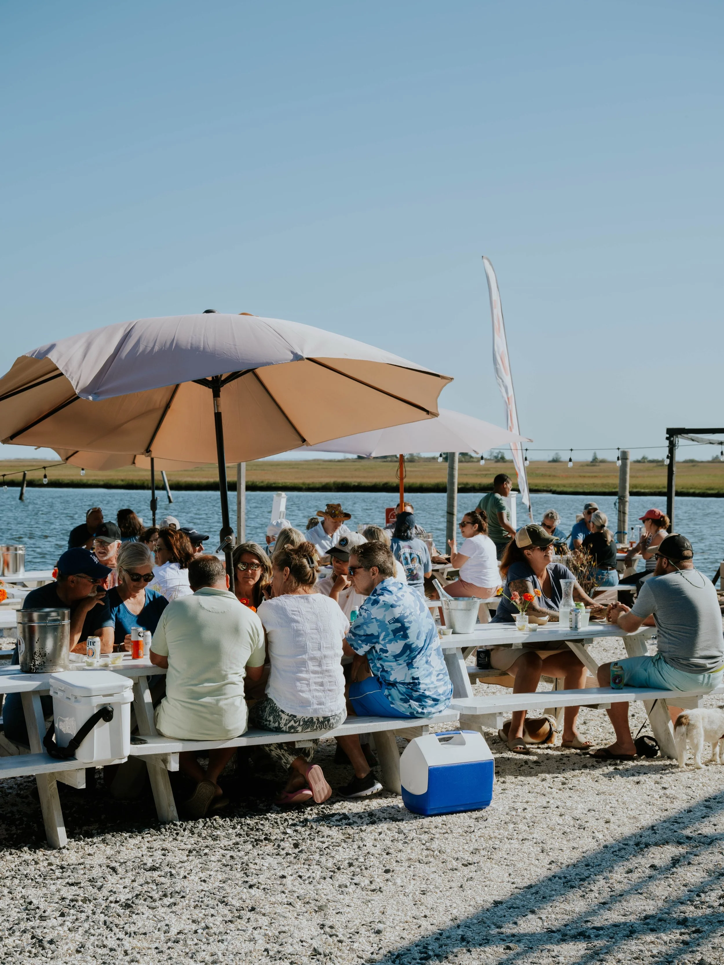 Reservations for Memorial Day weekend are live. 

Here is what you are booking:
A seat on Barnegat Bay. Day boat fish cooked over Chef Pablo&rsquo;s open fire. Freshly harvested oysters from Matt Gregg&rsquo;s oyster farm. The season&rsquo;s finest p