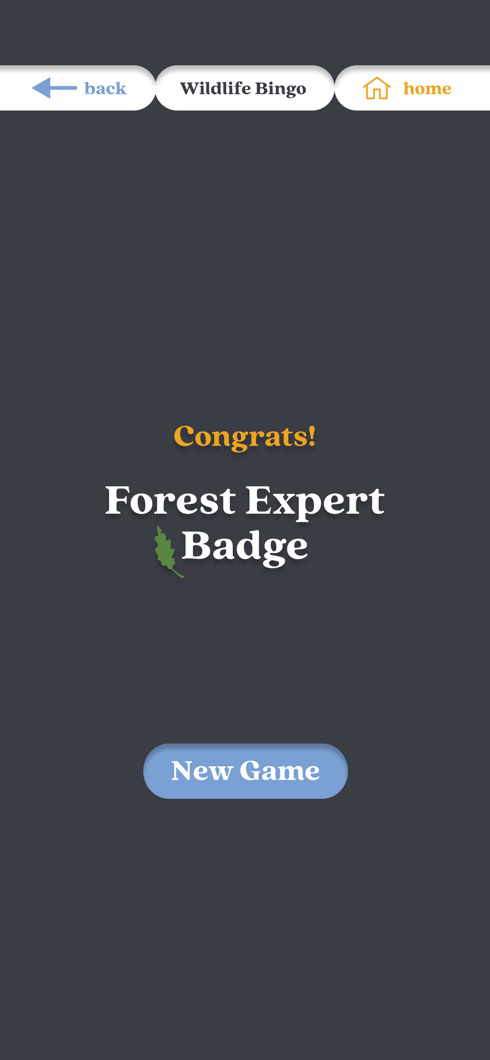 13 Pro - 12.png