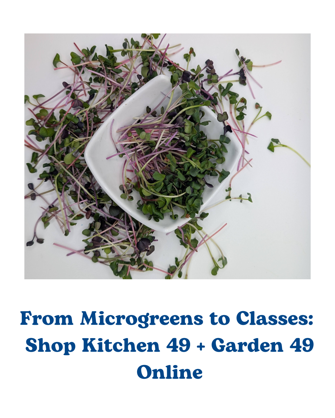 From Microgreens to Classes: Shop Kitchen 49 + Garden 49 Online