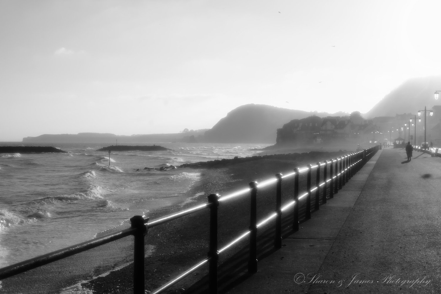 Sea Path.jpg