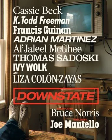 AH_Website_ClientKeyArt_380x475_Downstate.jpg