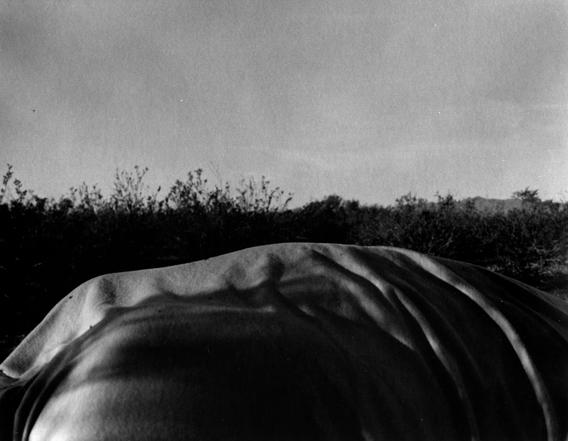 SmallSunsbw_ThatWhichIsGiven copy.jpg