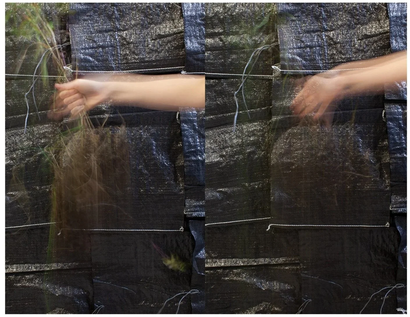 Practice, from Sandbagging, 19x13 inch archival inkjet print