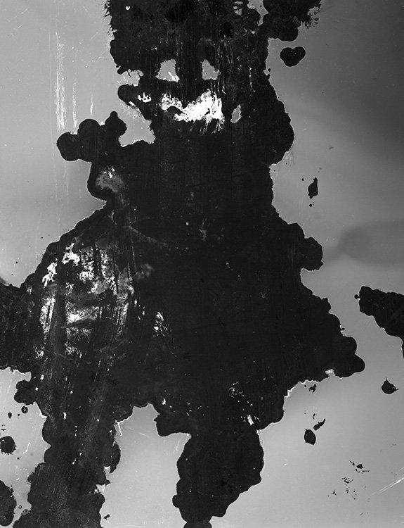 Tell Us About the World, bamboo plant fluorescence on 4x5 b&w film, 2026