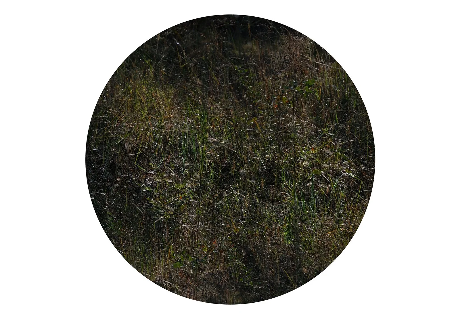 Small Suns_003.jpg