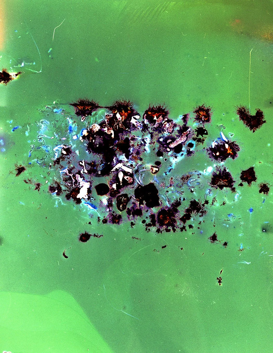 Ecoscape001, 2026, 9-day exposure