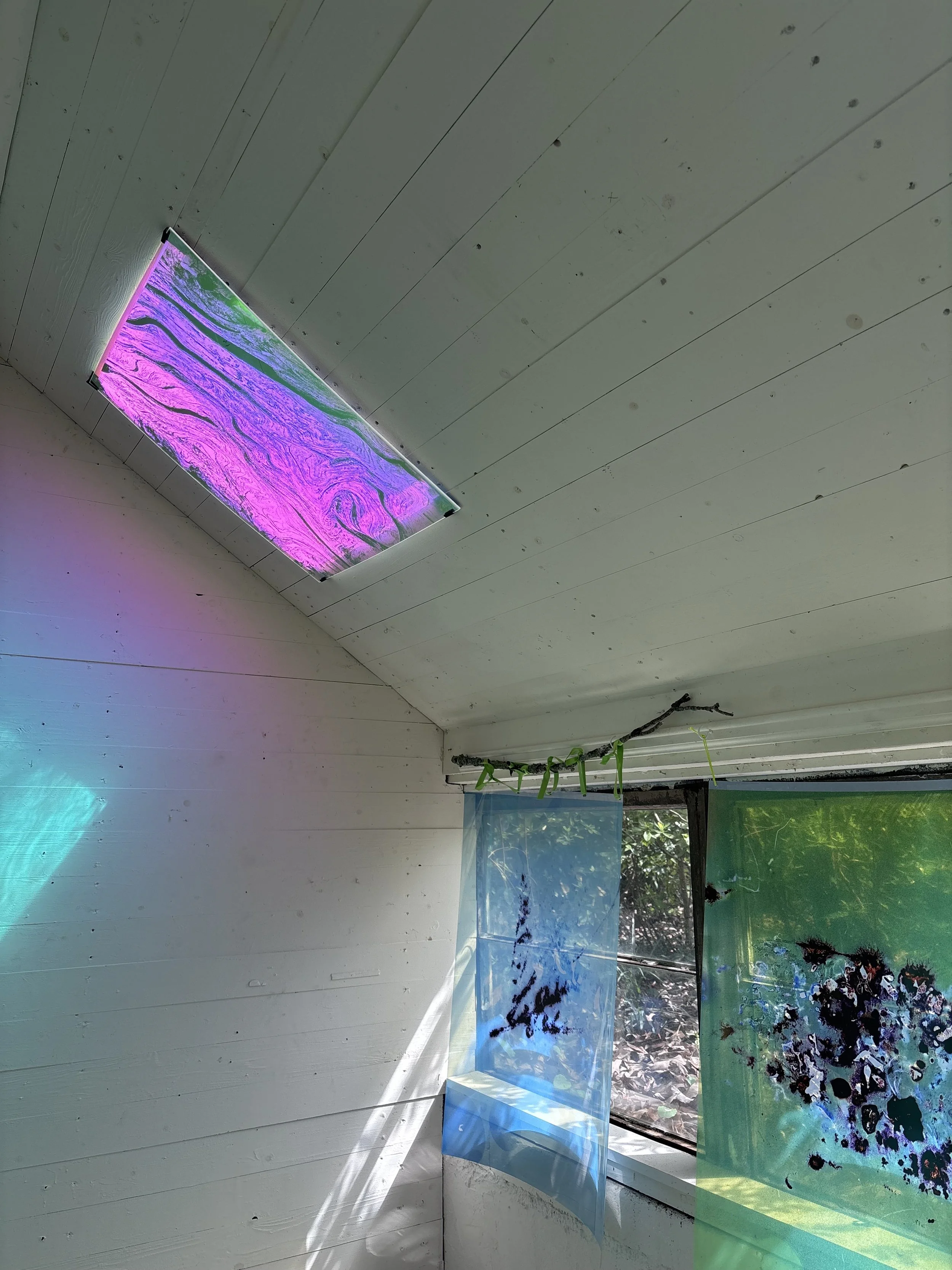 ecology photography atlanta