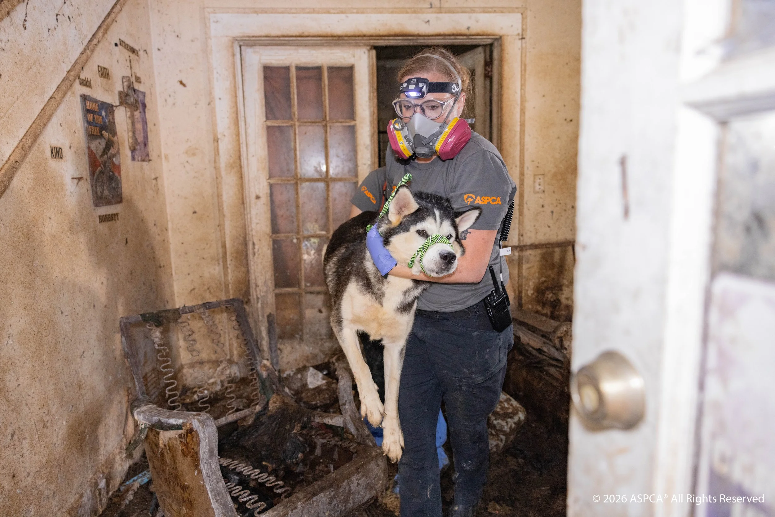 National Cases_Dog Rescue_Montgomery NC_2025Aug26_0430(CR).jpg