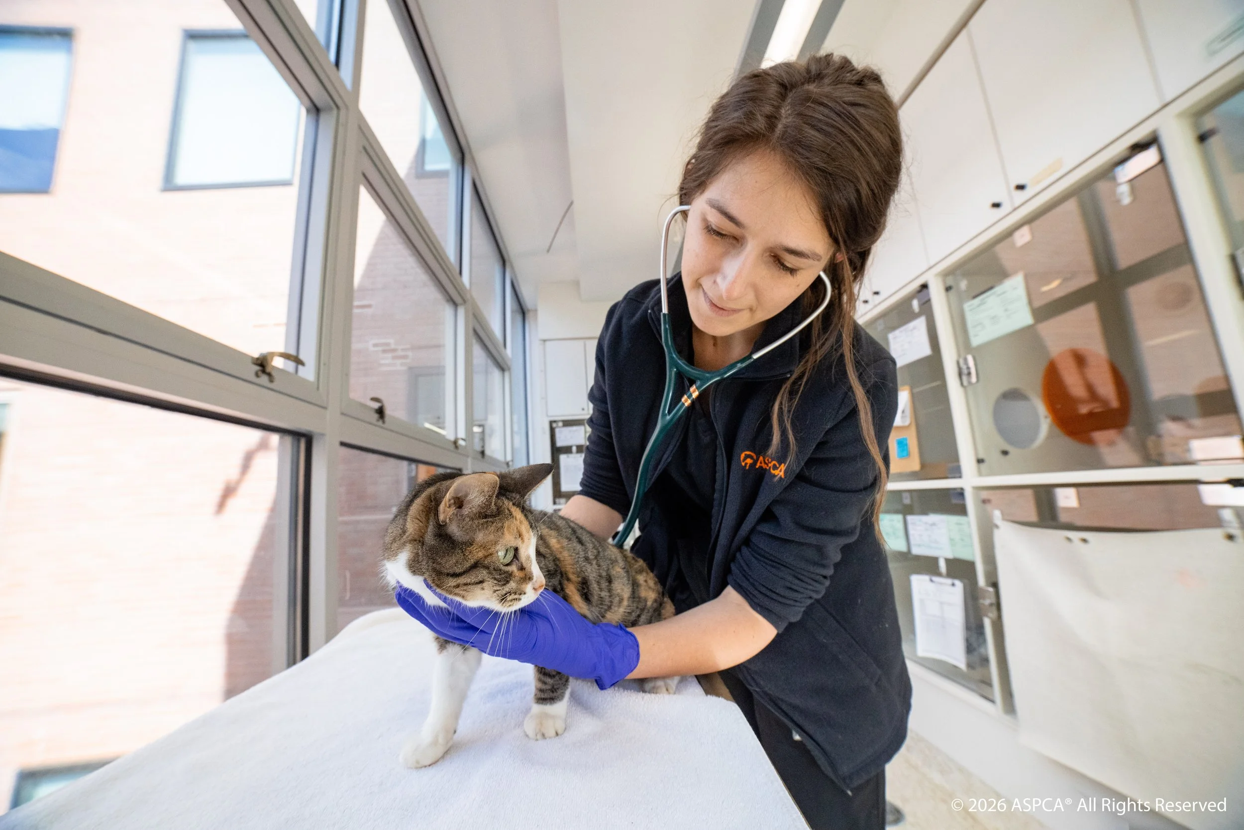 AAH_Shelter Medicine Portraits_2026Mar20_0032(CR).jpg