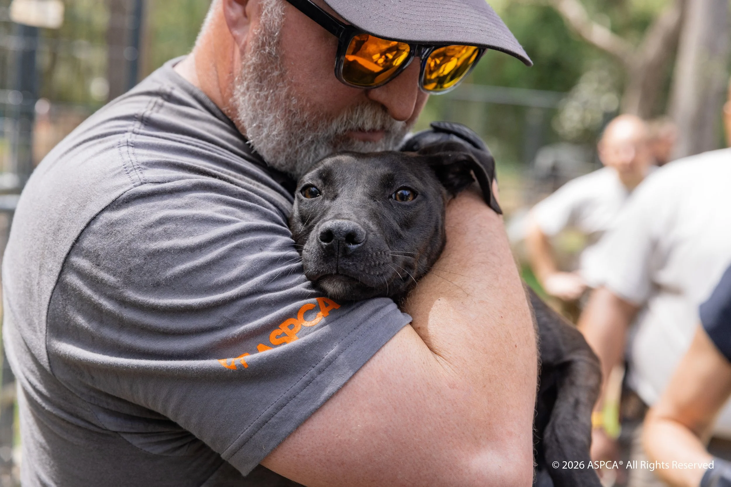 Dogfighting_Marion SC_Scene 1_2025Apr03_0454(CR).jpg