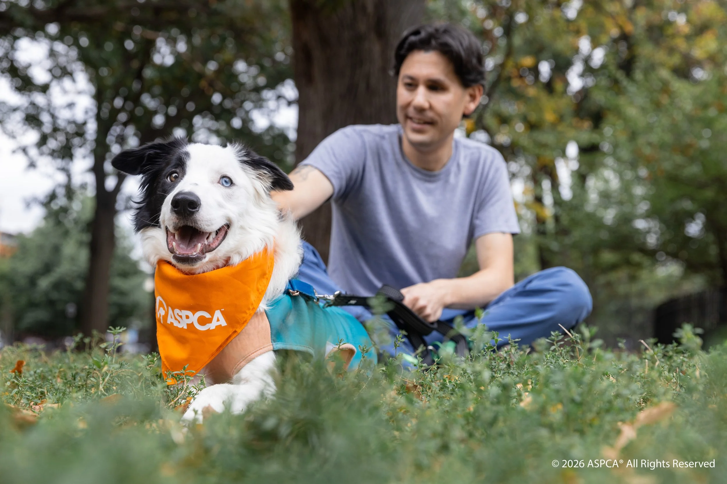 Happy Tail_Niko_2024Oct03_130(CR).jpg