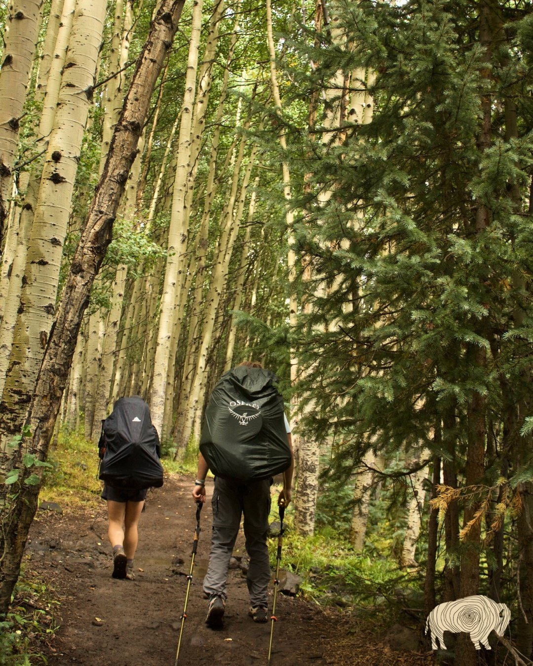 Because of YOU and your generosity, real impact is happening.

Over the past three years of launching the organization&mdash;a work you helped make possible&mdash;we've seen remarkable results.

We've seen students grow in:
✨ Confidence
✨ Identity
✨ 