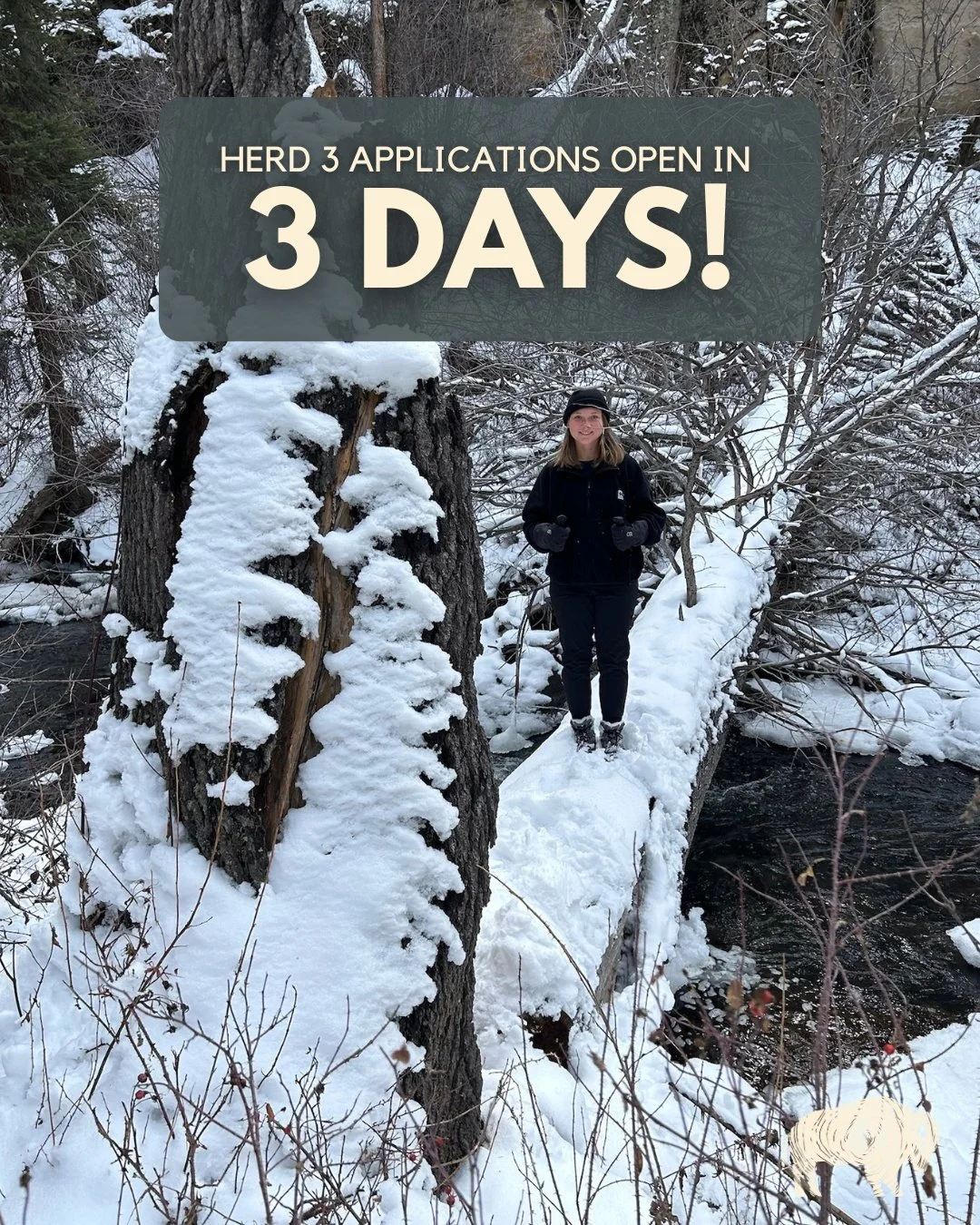 3 MORE DAYS‼️

Don't miss out and join our waitlist now at leanintothegap.org/apply

The Gap at Sawmill Meadow is a radical experience and we want you to be a part of it.

#LeanIn #TheGap #TheGapatSawmillMeadow #GapYear #SouthForkColorado #Giving #Ap