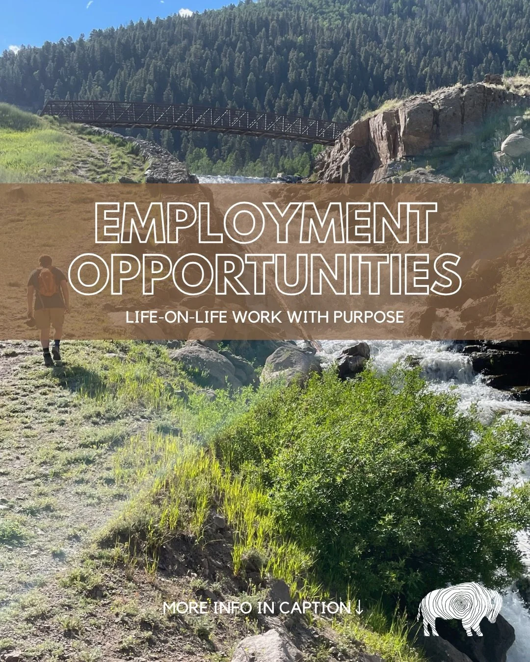 JOIN OUR TEAM 🍂🥾🌲✨

The Gap at Sawmill Meadow is currently seeking to fill a few key roles as we continue investing in life-on-life discipleship and formation.

We are hiring two Summer Discipleship Interns, as well as a Pastoral / Program Directo