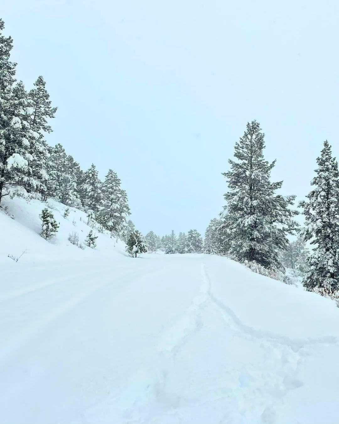 Check out this throwback from a snowy day here in South Fork, CO! ❄️

At The Gap, we choose the trail less traveled &mdash; no matter the weather.
Join us.

#LeanIn #TheGap #TheGapatSawmillMeadow #GapYear #SouthForkColorado