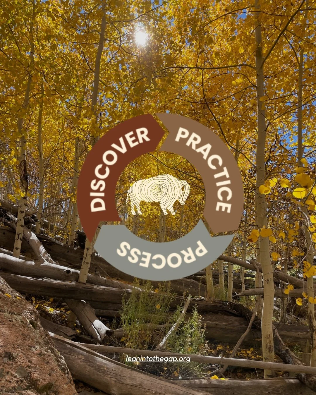 ✨🌲The Gap at Sawmill Meadow provides a space to discover, practice, and process, so that time in the gap, between now and what&rsquo;s next, allows for holistic growth in purpose and responsibility.

Discover &mdash; the "what" and "w