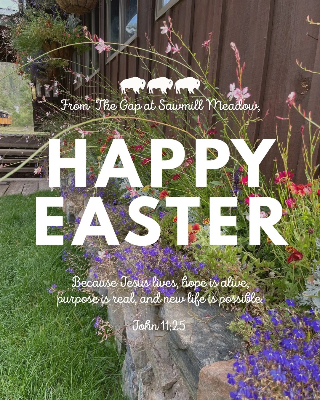 The resurrection changes everything.

Because Jesus lives, we live with hope.
We live with purpose.
And we live knowing that God is always making things new.

Happy Easter from The Gap. ✝️🌷