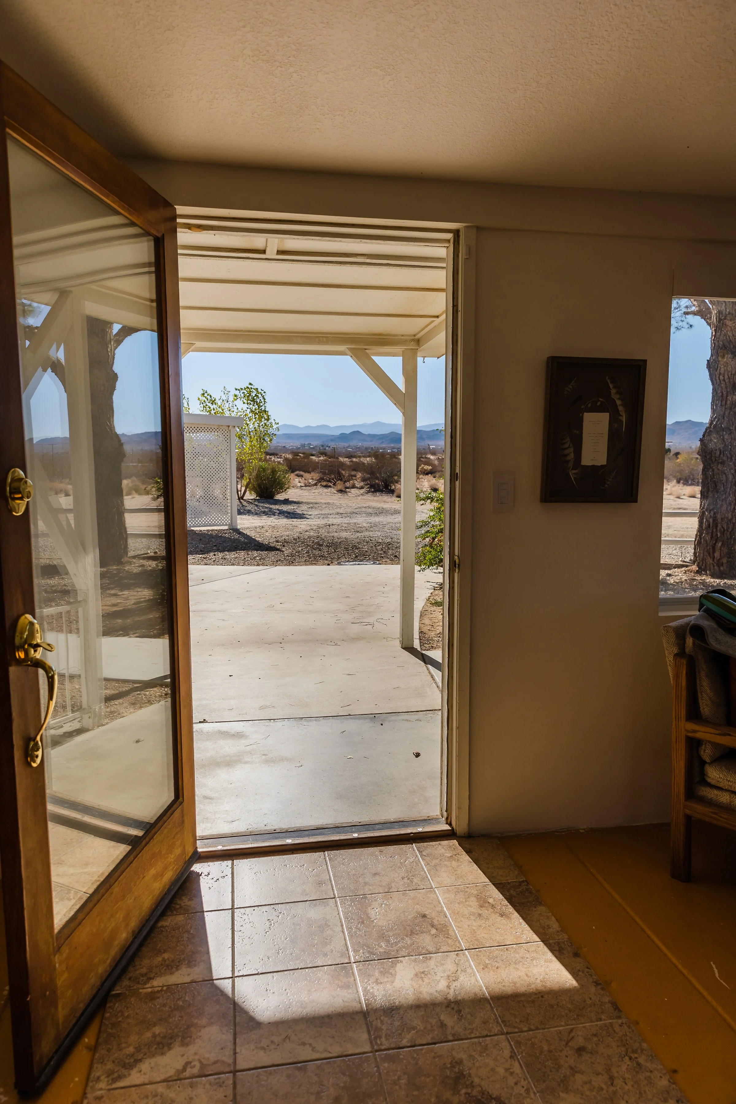 2022_10_30_Jackrabbit Landers Joshua Tree_439.jpg