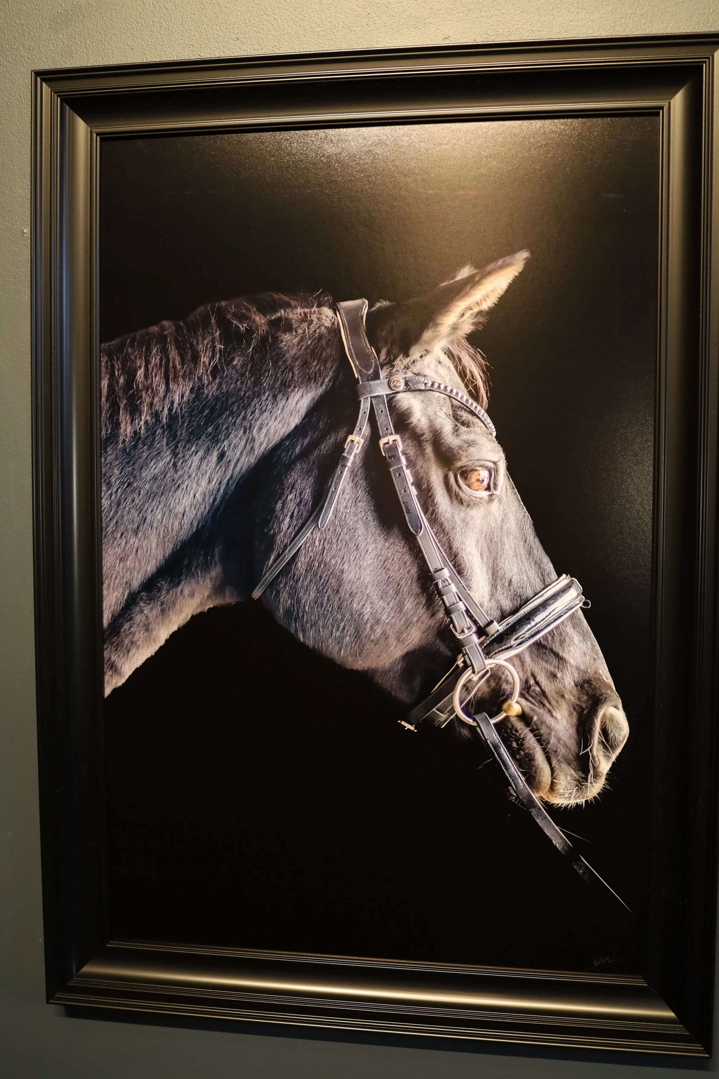 Voltaire’s Nightkeeper aka “Sam” by Juli Trush Pace