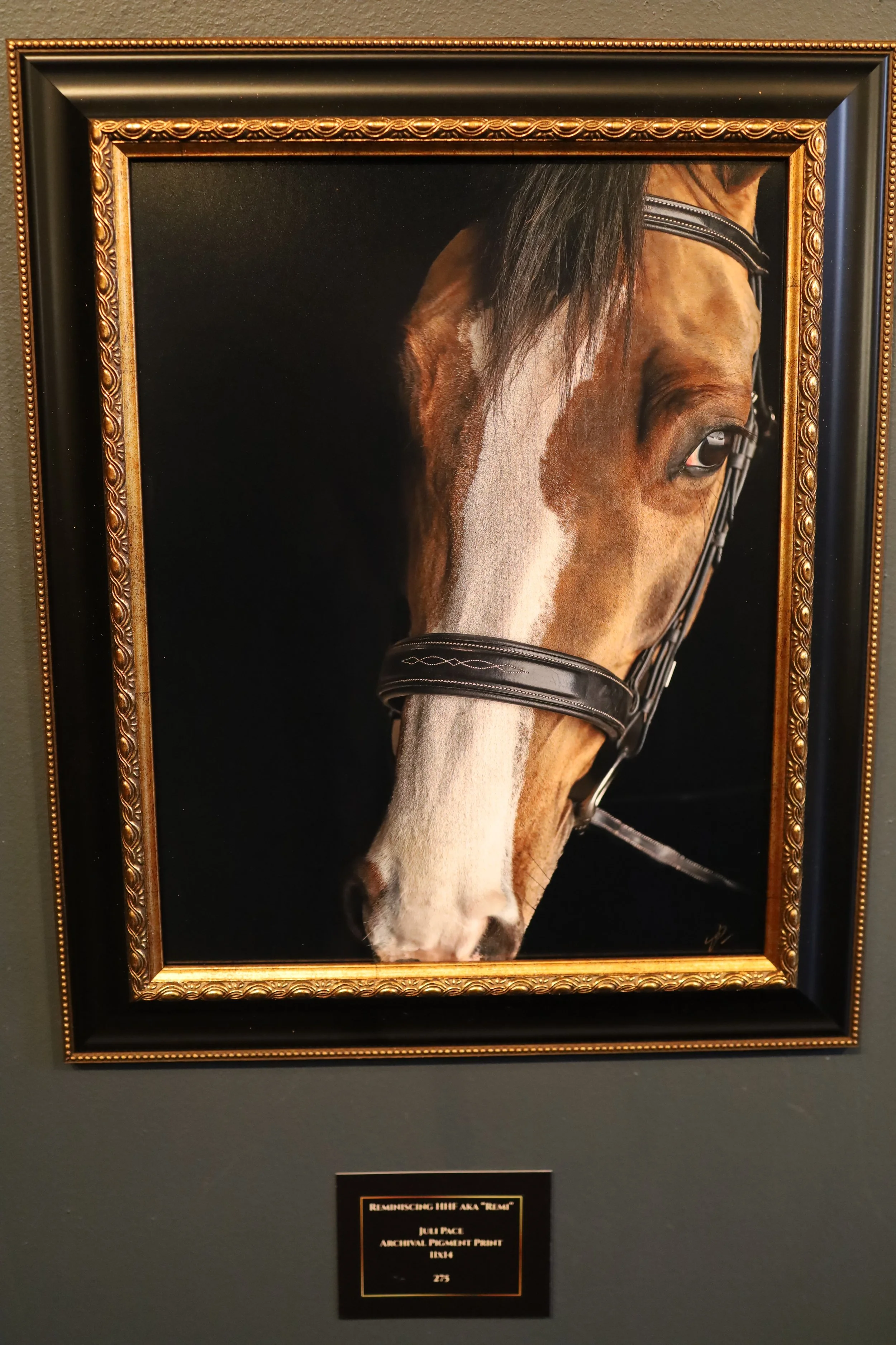 Reminiscing HHF aka “Remi” by Juli Trush Pace