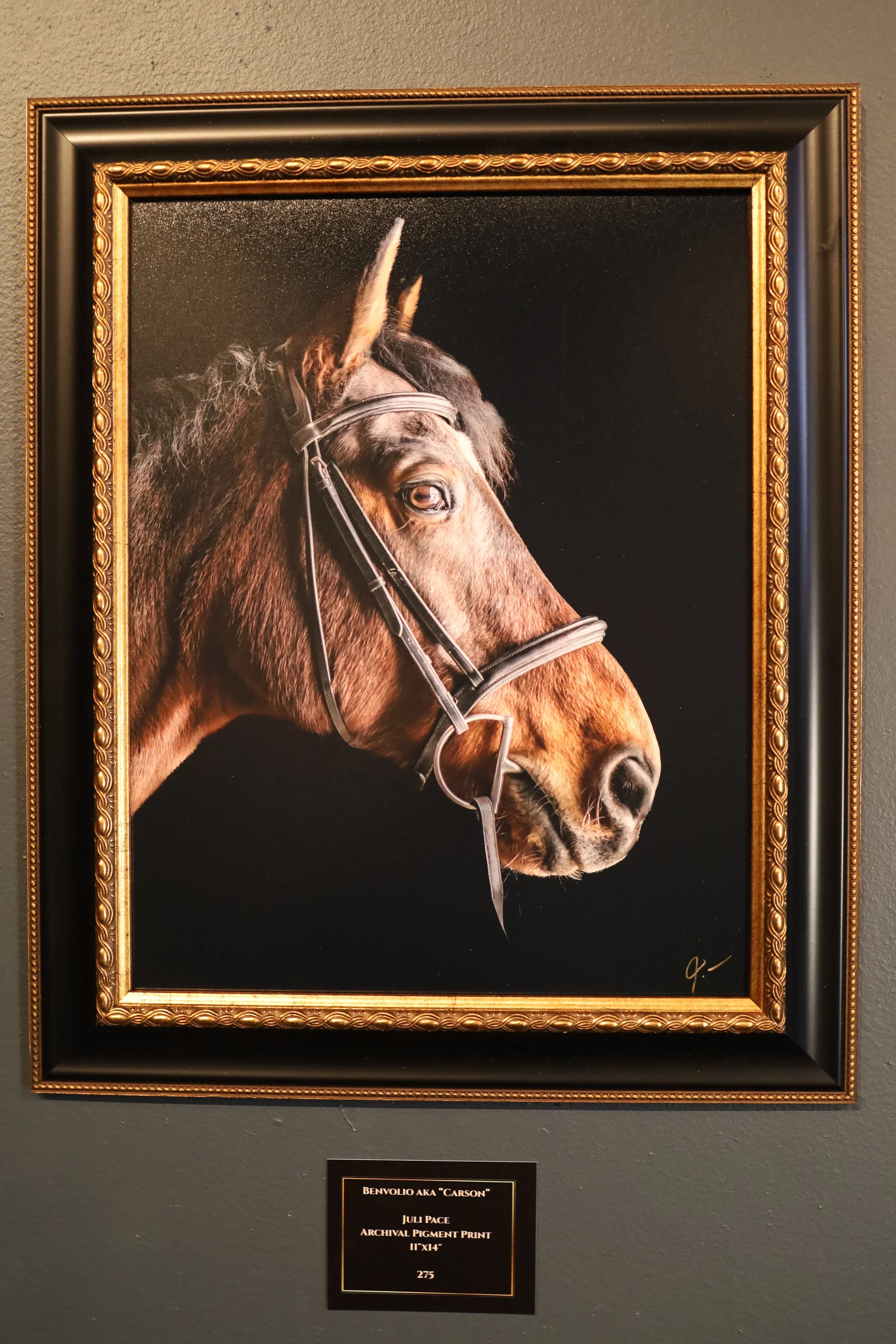 Benvolio aka "Carson” by Juli Trush Pace