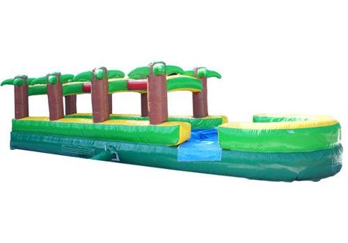 Slip n' Slide Palm Tree