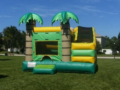 Palm Tree Combo Dry Slide
