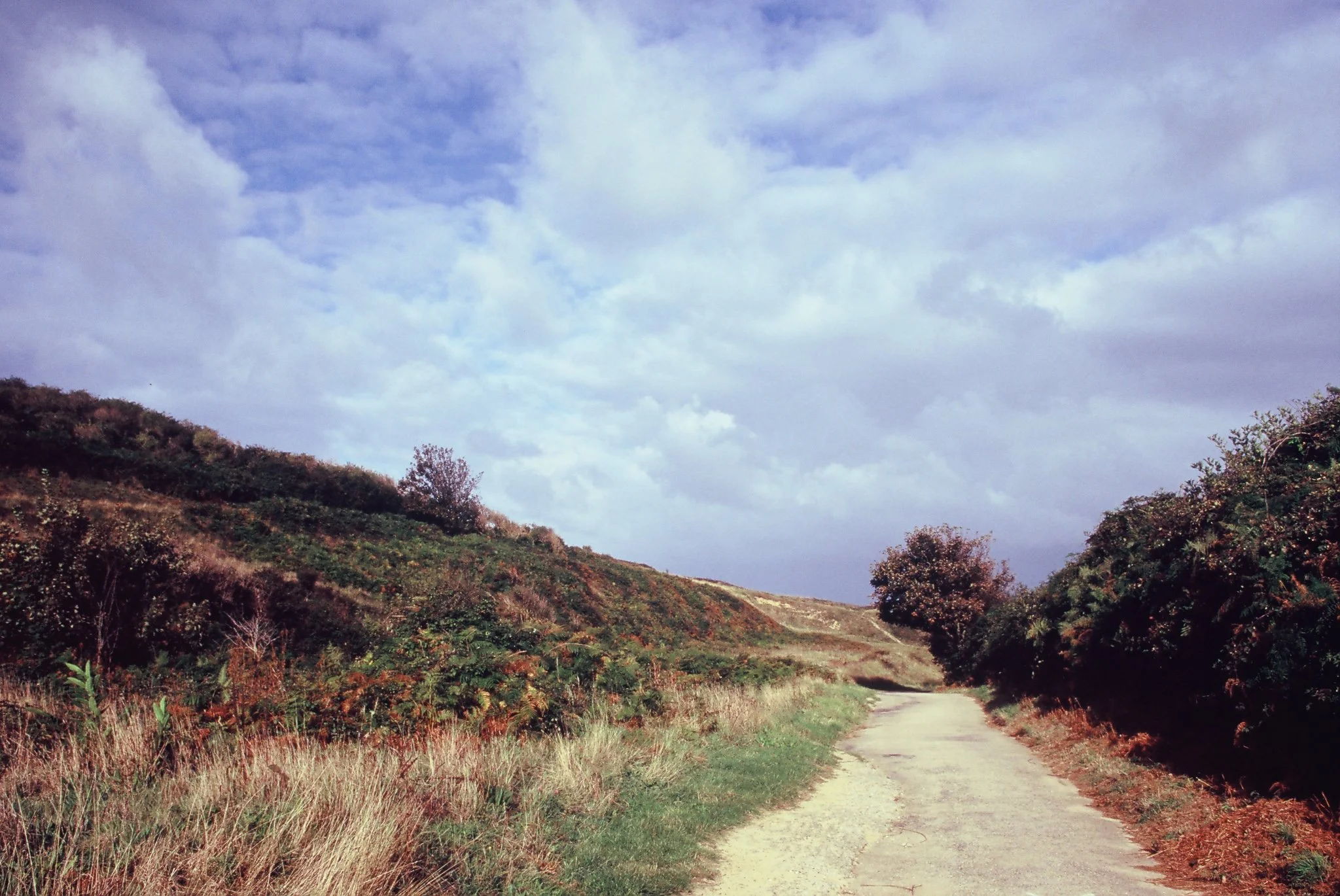 C002080-R3-07-8.jpg