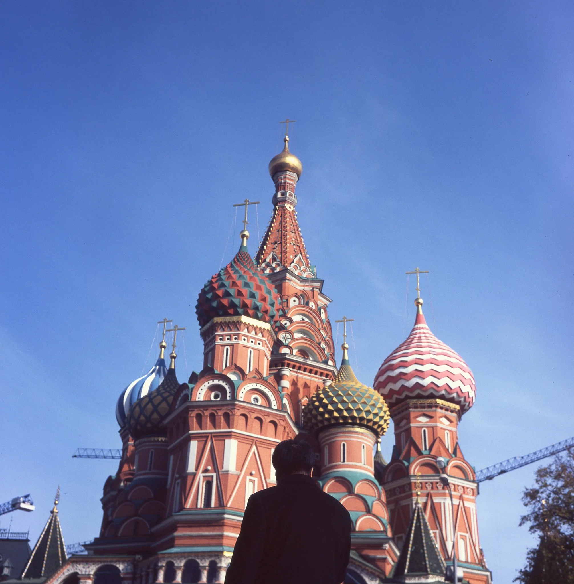img003.jpg