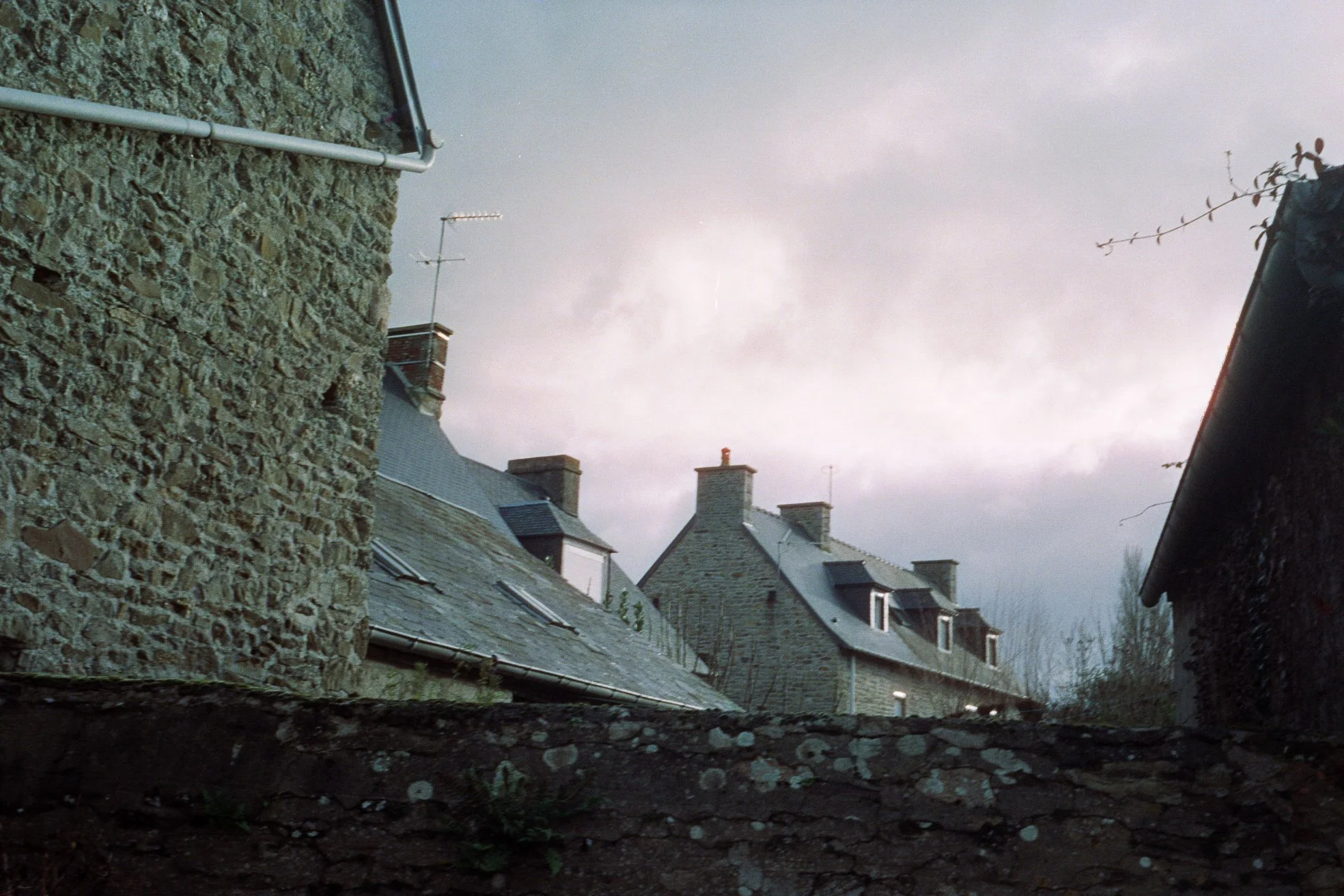 img0017.jpg
